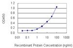 DYNLL2 Antibody in ELISA (ELISA)