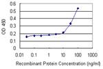 C20orf79 Antibody in ELISA (ELISA)