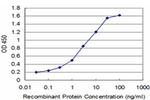 GSC Antibody in ELISA (ELISA)