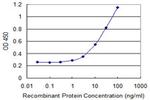 ZSWIM2 Antibody in ELISA (ELISA)