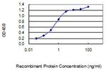 RNF168 Antibody in ELISA (ELISA)