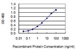 ADAMTS15 Antibody in ELISA (ELISA)