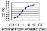 KRT24 Antibody in ELISA (ELISA)