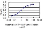 ARL13B Antibody in ELISA (ELISA)