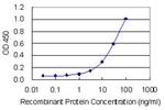 EFCAB4A Antibody in ELISA (ELISA)