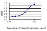 VSTM1 Antibody in ELISA (ELISA)