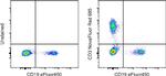 CD3 Antibody in Flow Cytometry (Flow)