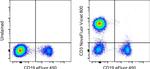 CD3 Antibody in Flow Cytometry (Flow)