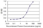 MAP3K15 Antibody in ELISA (ELISA)