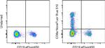 CD8a Antibody in Flow Cytometry (Flow)