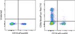 CD8a Antibody in Flow Cytometry (Flow)