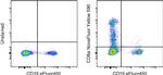 CD8a Antibody in Flow Cytometry (Flow)