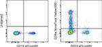 CD8a Antibody in Flow Cytometry (Flow)