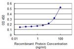 EID3 Antibody in ELISA (ELISA)