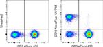 CD19 Antibody in Flow Cytometry (Flow)