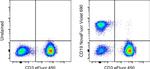 CD19 Antibody in Flow Cytometry (Flow)