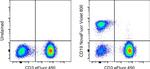 CD19 Antibody in Flow Cytometry (Flow)