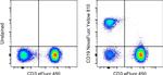 CD19 Antibody in Flow Cytometry (Flow)