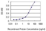 SFTPA1 Antibody in ELISA (ELISA)