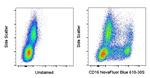 CD16 Antibody in Flow Cytometry (Flow)