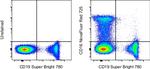 CD16 Antibody in Flow Cytometry (Flow)