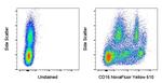 CD16 Antibody in Flow Cytometry (Flow)