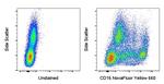 CD16 Antibody in Flow Cytometry (Flow)