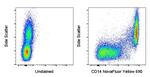 CD14 Antibody in Flow Cytometry (Flow)