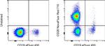 CD28 Antibody in Flow Cytometry (Flow)