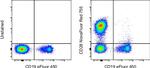 CD28 Antibody in Flow Cytometry (Flow)