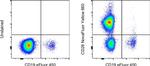 CD28 Antibody in Flow Cytometry (Flow)