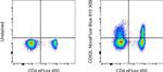 CD62L (L-Selectin) Antibody in Flow Cytometry (Flow)