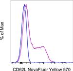 CD62L (L-Selectin) Antibody in Flow Cytometry (Flow)