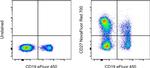 CD27 Antibody in Flow Cytometry (Flow)