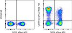 CD27 Antibody in Flow Cytometry (Flow)