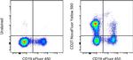 CD27 Antibody in Flow Cytometry (Flow)