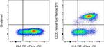 CD33 Antibody in Flow Cytometry (Flow)