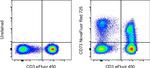 CD73 Antibody in Flow Cytometry (Flow)