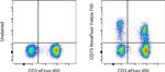 CD73 Antibody in Flow Cytometry (Flow)