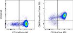 CD86 (B7-2) Antibody in Flow Cytometry (Flow)