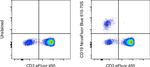 CD19 Antibody in Flow Cytometry (Flow)