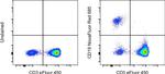 CD19 Antibody in Flow Cytometry (Flow)