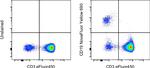 CD19 Antibody in Flow Cytometry (Flow)