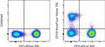 CD19 Antibody in Flow Cytometry (Flow)