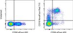 CD16 Antibody in Flow Cytometry (Flow)