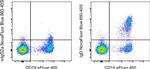 IgD Antibody in Flow Cytometry (Flow)