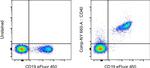 CD40 Antibody in Flow Cytometry (Flow)