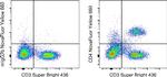 CD4 Antibody in Flow Cytometry (Flow)