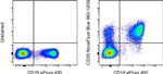 CD39 Antibody in Flow Cytometry (Flow)