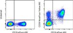 CD39 Antibody in Flow Cytometry (Flow)